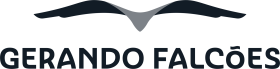 Gerando Falcões Gerando Falcões